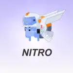 1-Year Discord Nitro Subscription